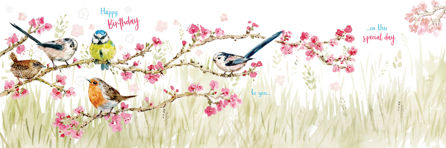 Wild & Serene Card Collection - Birds