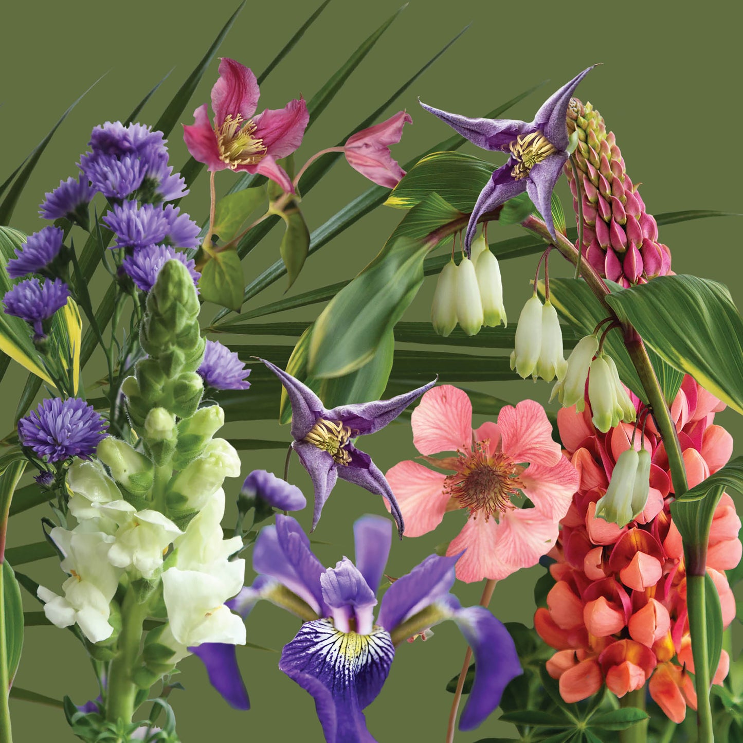 Alex Sharp Card - Floral - For The Love Of Flowers