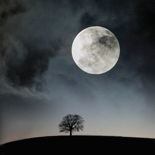 Alex Sharp Card - Scenic - Super Moon