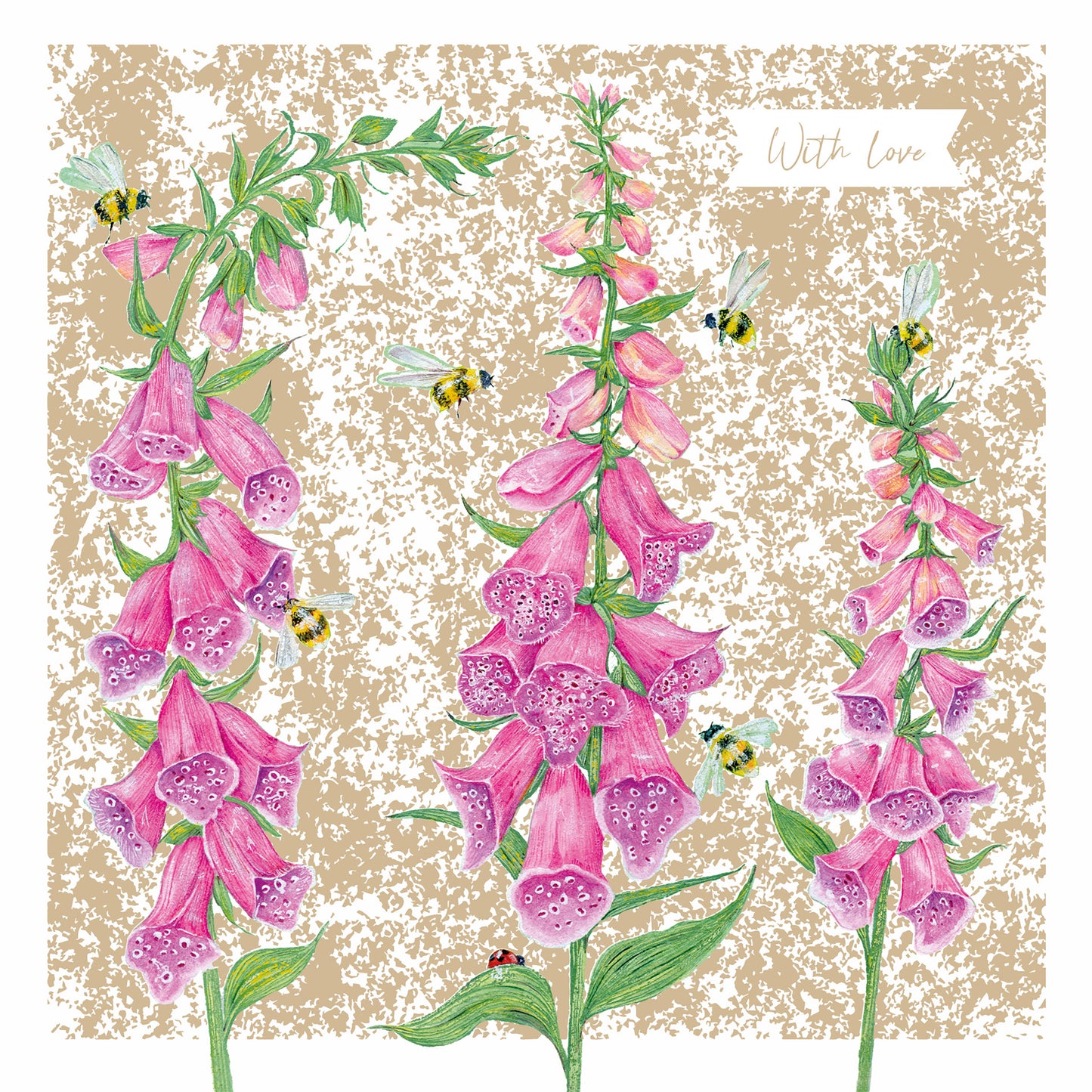 Aurelia Card - Foxgloves
