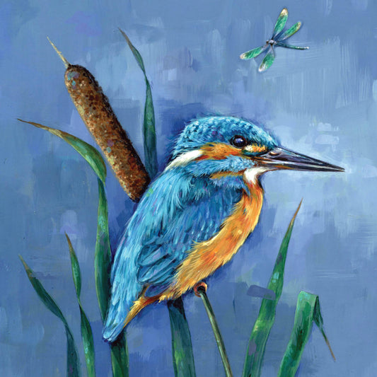 Wild Friends Card - Kingfisher