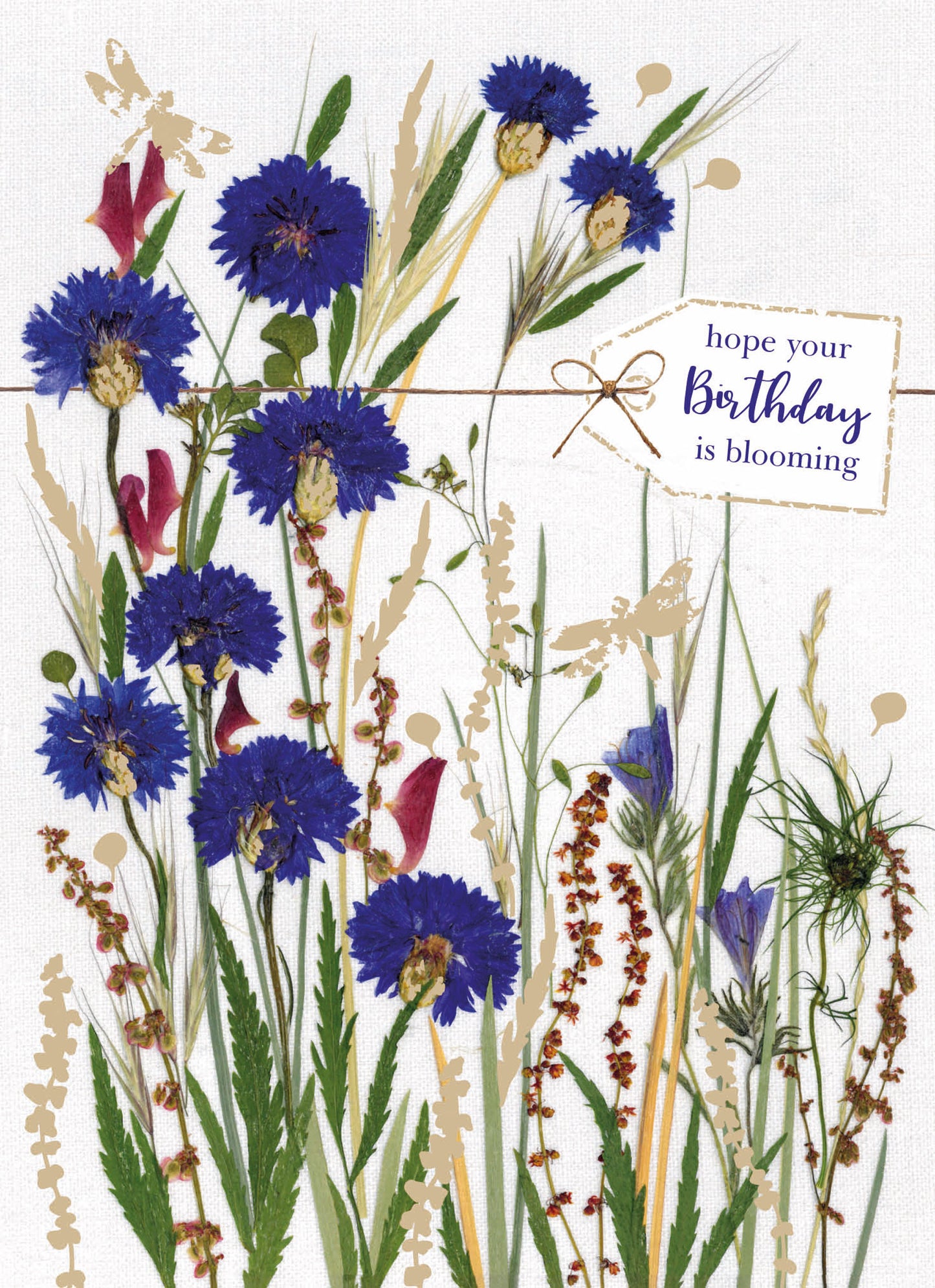 Flower Press Card - Cornflowers