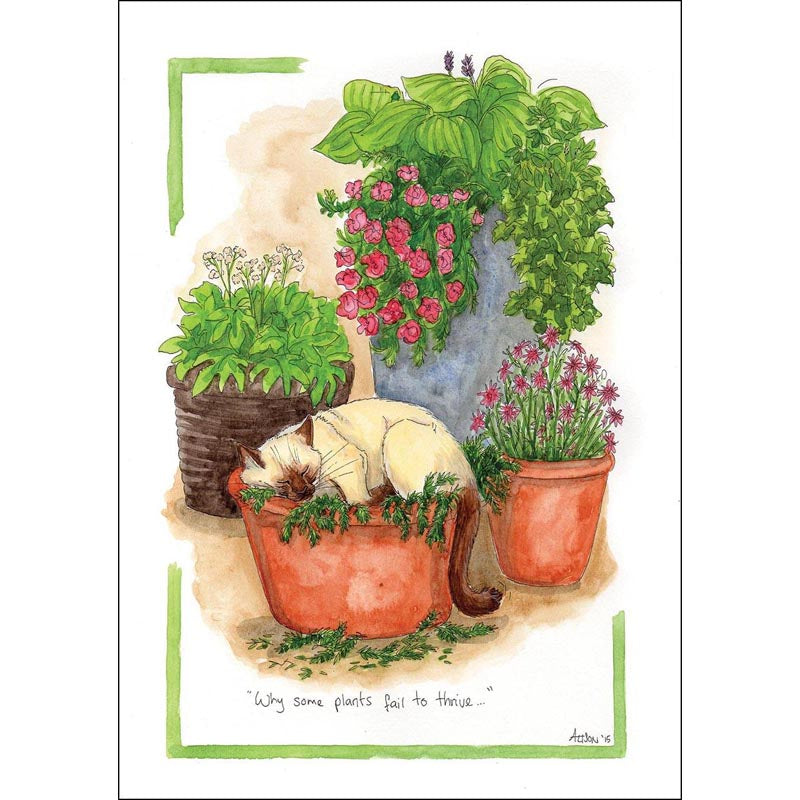 Alison's Animals Card - Why some plants fail to thrive (Splimple - 150x210mm)