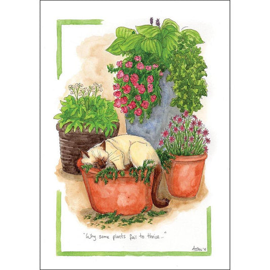 Alison's Animals Card - Why some plants fail to thrive (Splimple - 150x210mm)