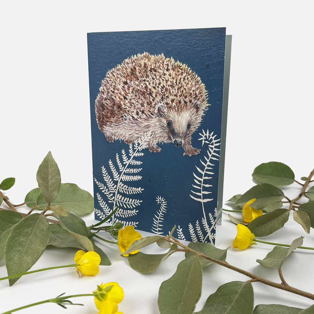 RSPB - In The Wild Card - Hedgehog