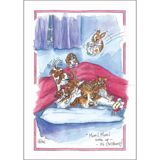 Alisons Animals Christmas Card (Single) - Christmas Morning (Splimple)