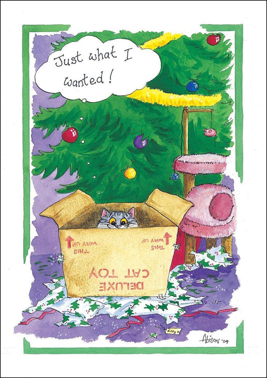 Christmas Cards (Single) - Alisons Animals - Just what I wanted