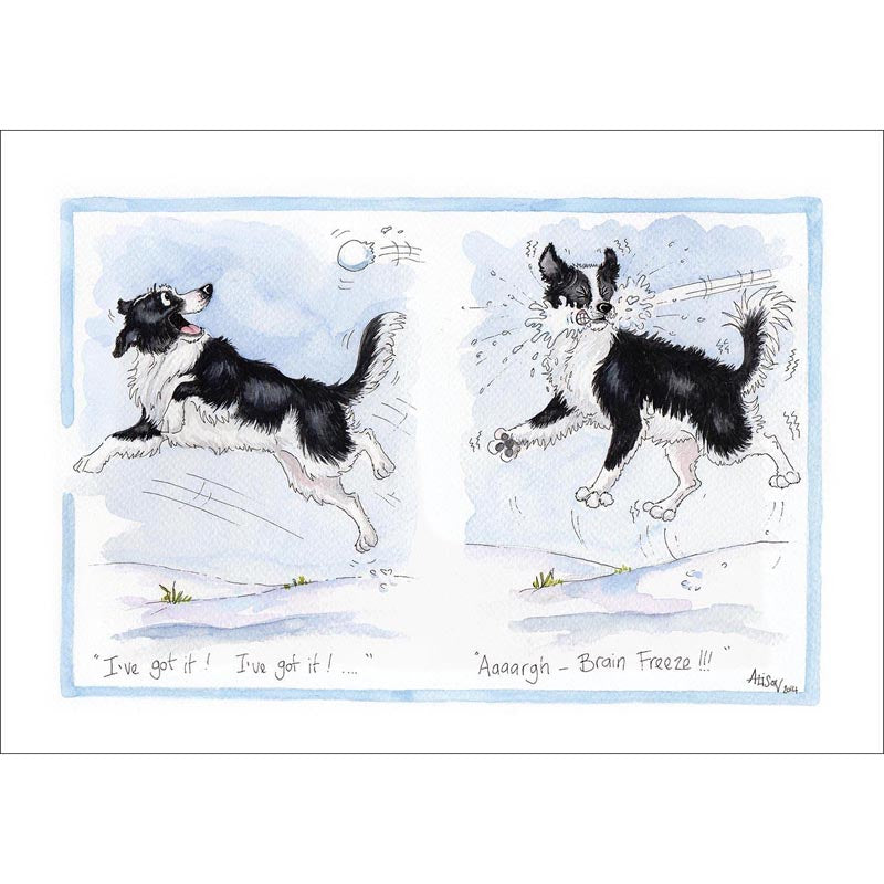 Alisons Animals Christmas Card (Single) - Aaaagh - brain freeze (Splimple)