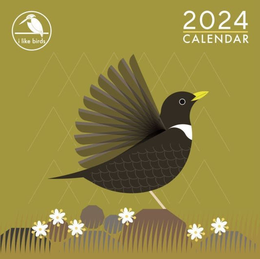 I Like Birds Wall Calendar 2024