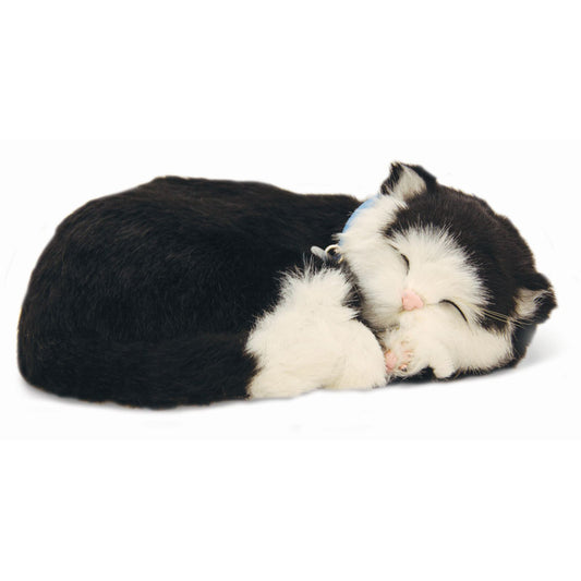 Precious Petzzz - Black & White Short Haired Cat