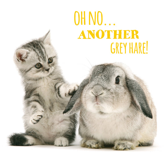 Pet Pawtrait Card - Grey Hares (Birthday Card)