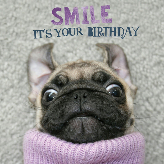 Pet Pawtrait Card - Smile Pup (Birthday Card)