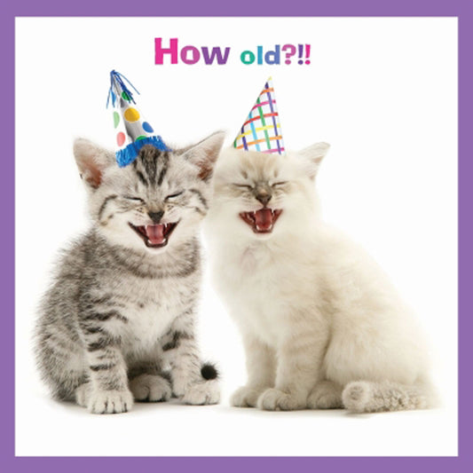 Pet Pawtrait Card - Laugh Yourself Silly (Birthday Card)
