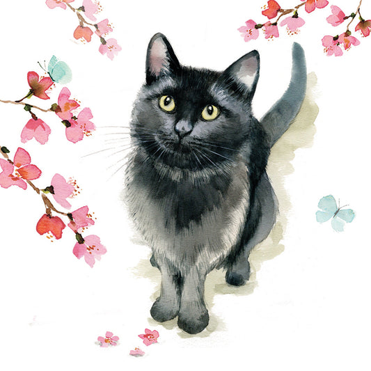 Countryside Collection Card - Black Cat & Blossom
