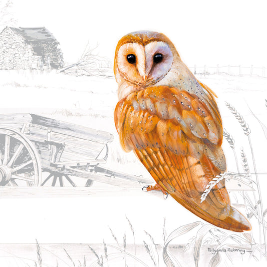 Pollyanna Pickering Countryside Card Collection - Owl