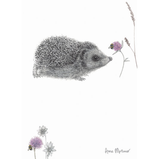 RSPB Card - In the Flowers - Hello Hedgehog