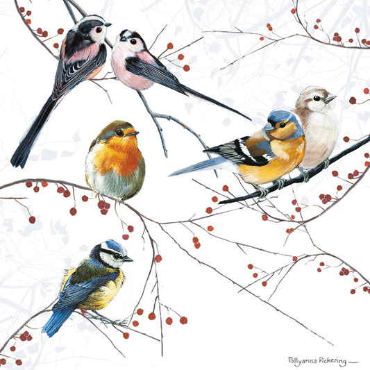 Countryside Collection Card - Mixed Birds