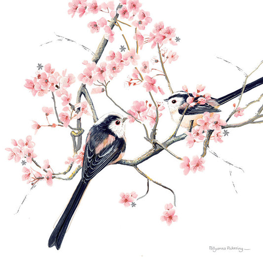 Pollyanna Pickering Countryside Collection Card - Long Tailed Tits On Blossom