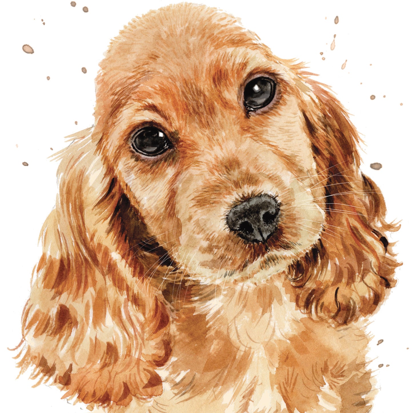 Puppy Dog Eyes Card Collection - Cocker Spaniel Copper