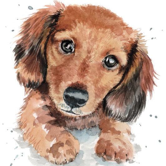 Puppy Dog Eyes Card Collection - Dachshund Darcy