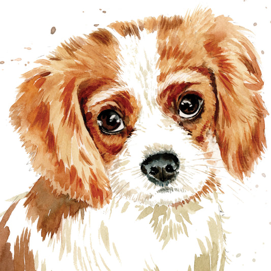 Puppy Dog Eyes Card Collection - Cavalier King Charles Charlie