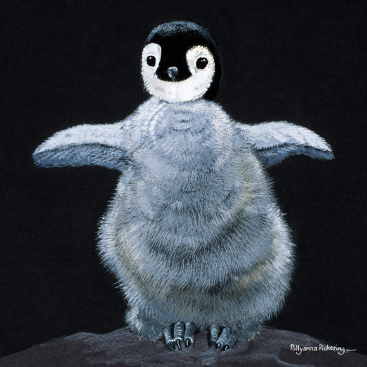 Pollyanna Pickering Card Collection - Penguin Chick