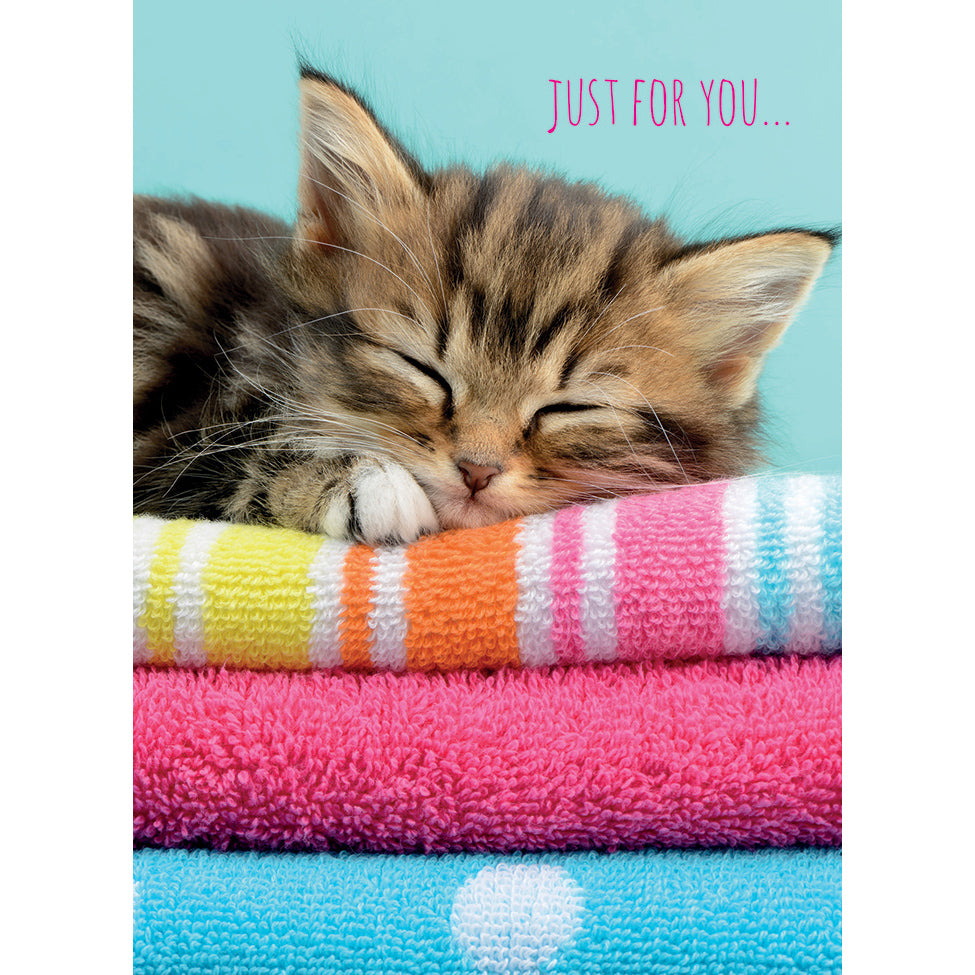 Animal Birthday Card - Sleeping Kitten