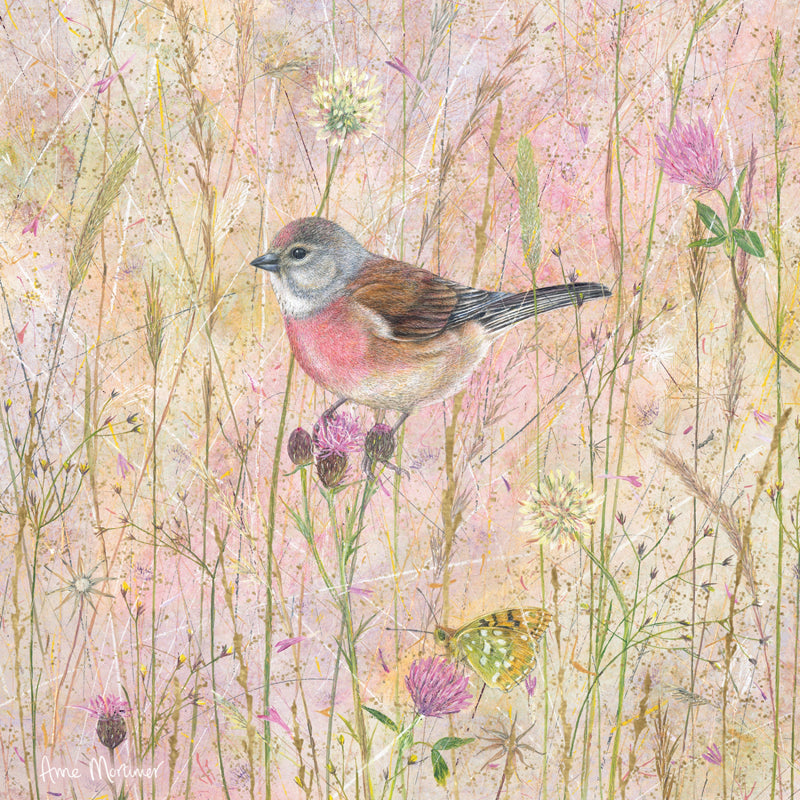 Enchanted Wildlife Card - Linnets