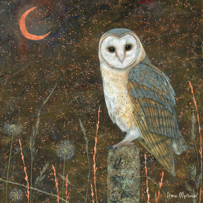 Enchanted Wildlife Card - Barn Owl