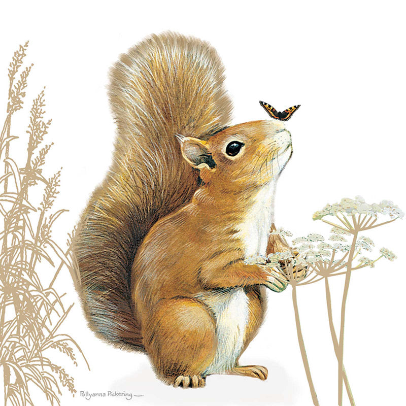 Pollyanna Pickering Countryside Card Collection - Squirrel