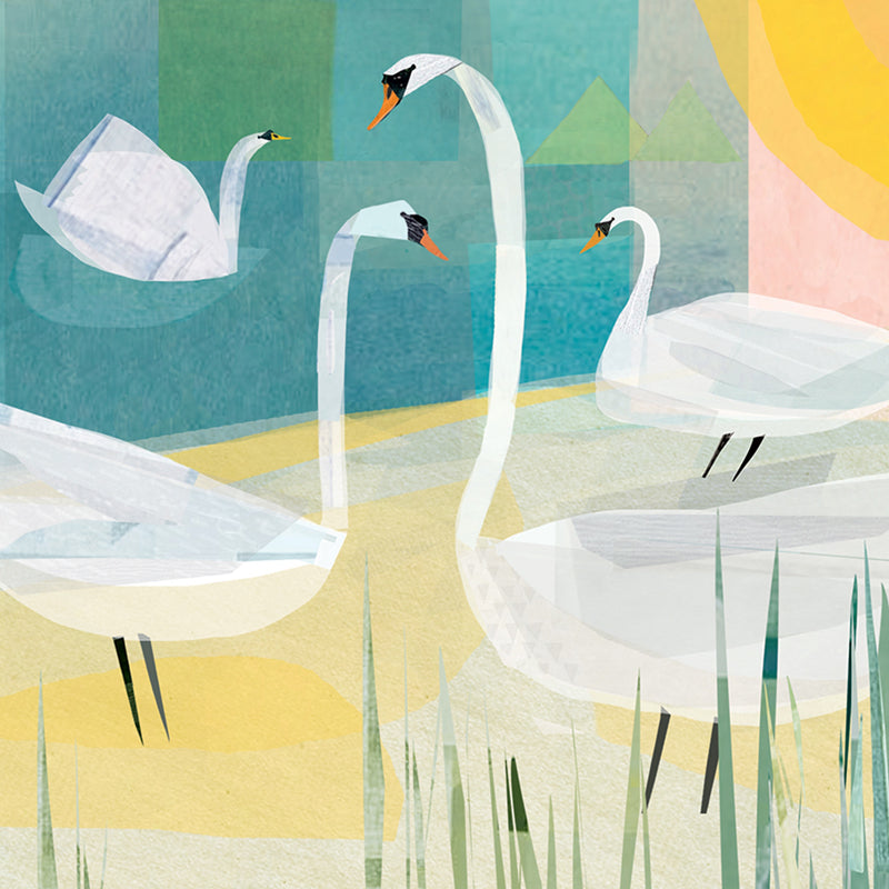 Quayside Gallery Card Collection - Swans