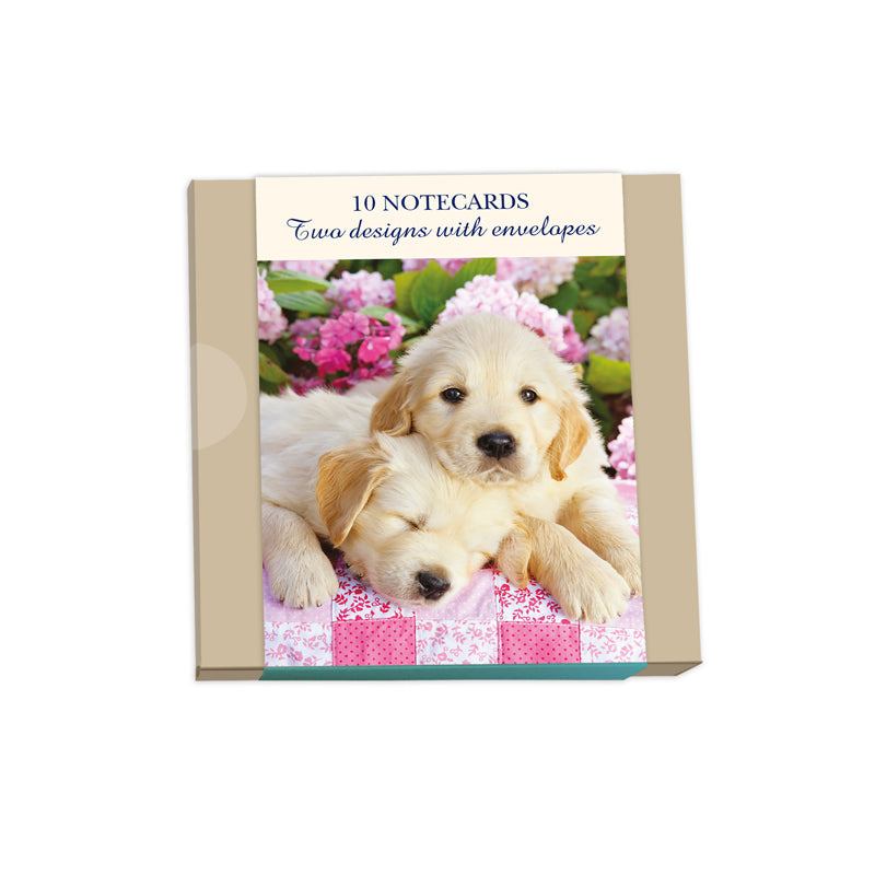 Notecard Pack (10 Cards) - Puppies & Flowers