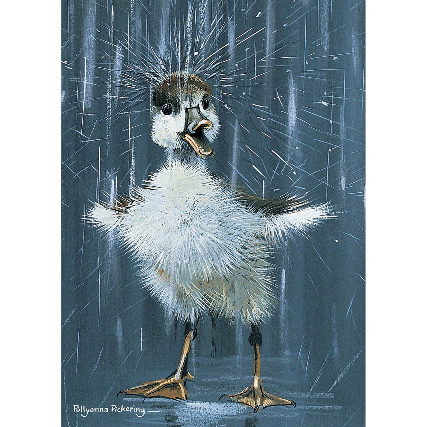 Mini Notecard Pack (5 Cards) - Duckling 'Splash'