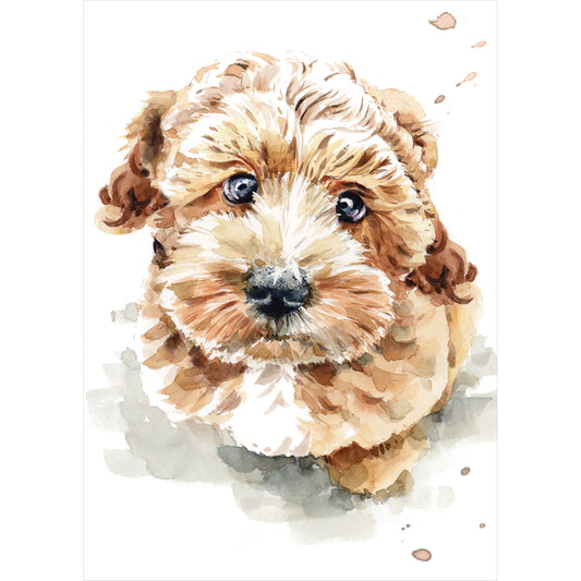 Mini Notecard Pack (5 Cards) - Cockapoo