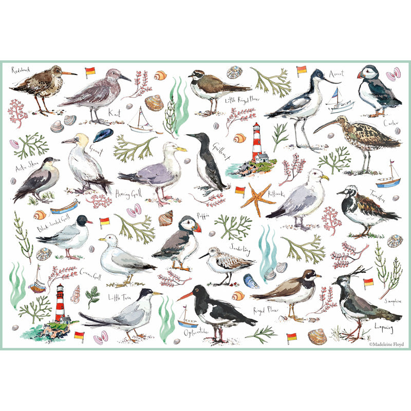 Madeleine Floyd Seabirds - 500 Piece Jigsaw Puzzle