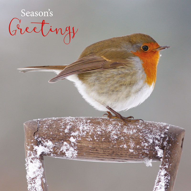 Charity Christmas Card Pack - Robin On Handle