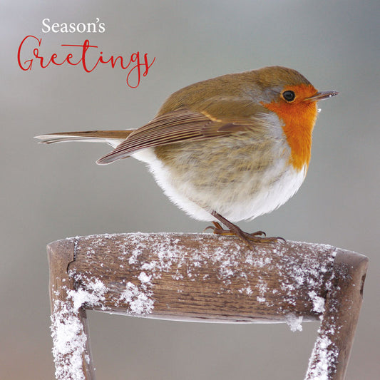 Charity Christmas Card Pack - Robin On Handle