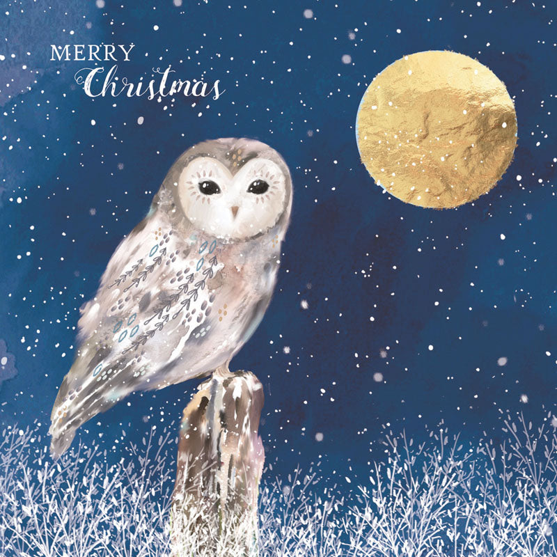 Charity Christmas Card Pack - Moonlight Owl
