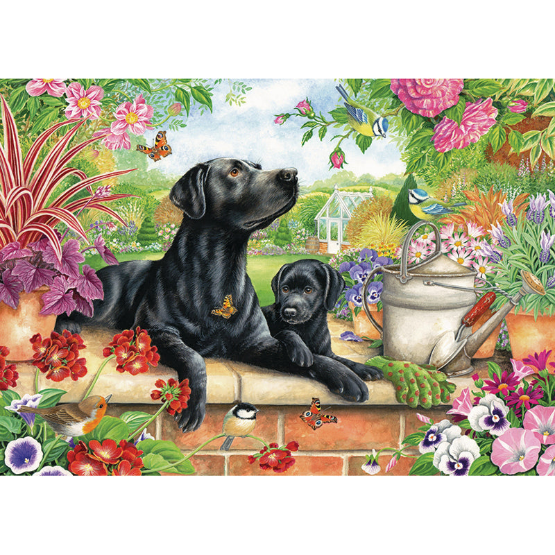 Black Labrador & Pup - 1000 Piece Jigsaw Puzzle