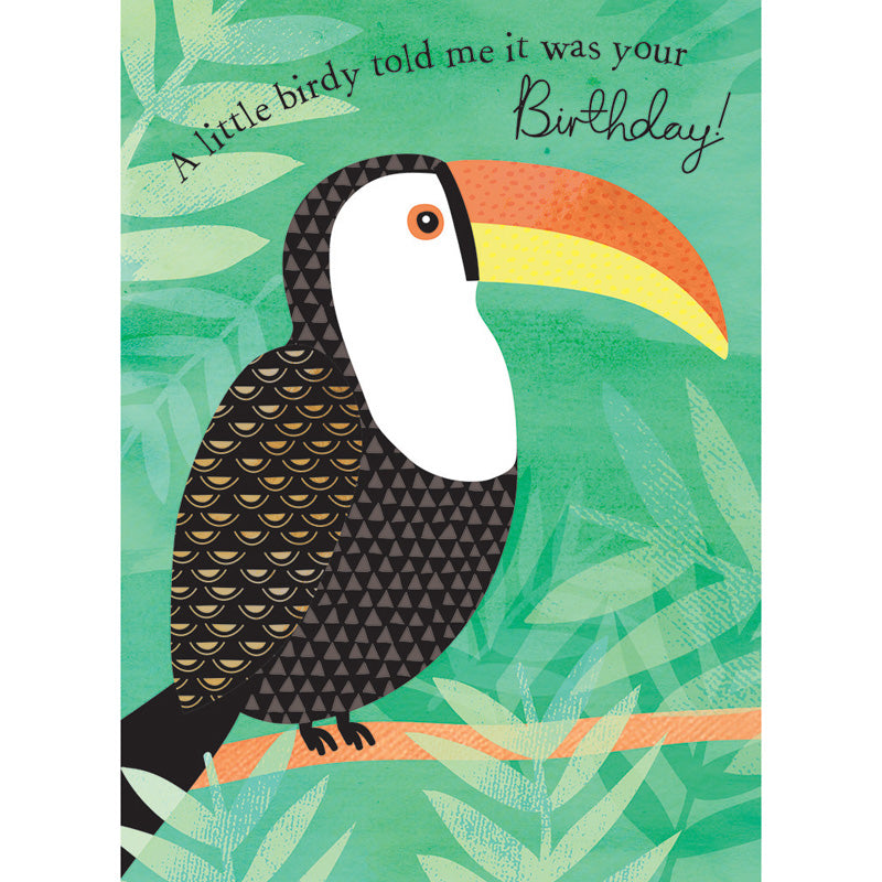 Pom Poms Card Collection - Toucan
