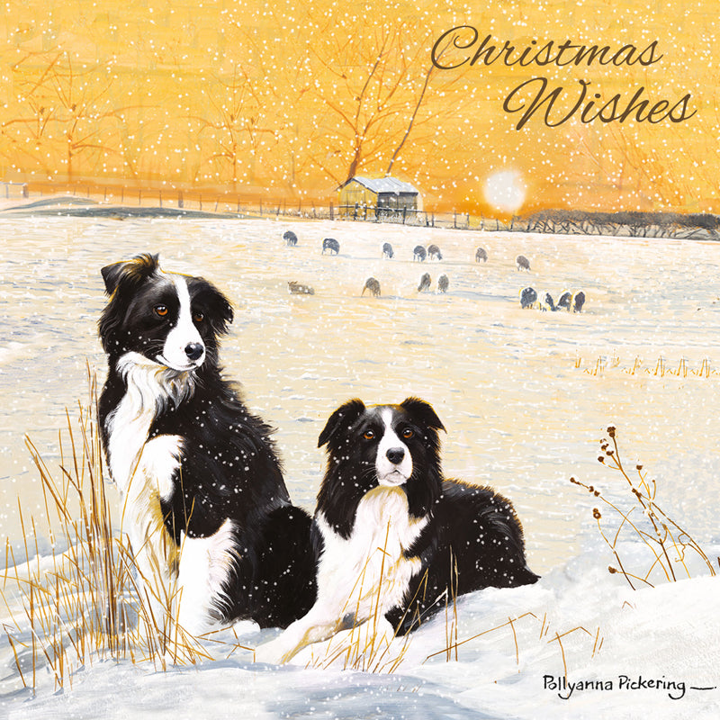 Charity Christmas Card Pack - Winter Collies