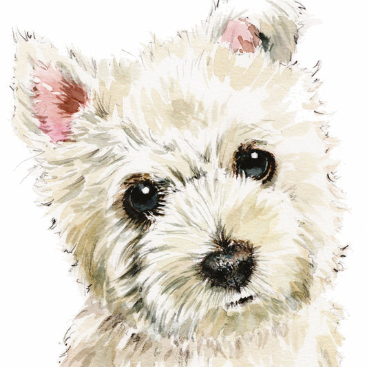 Countryside Collection Card - Westie Pup