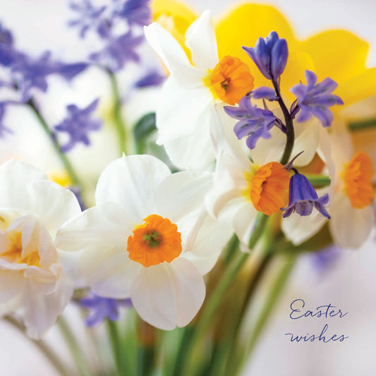 Easter 5 Card Pack - Daffodil Florals