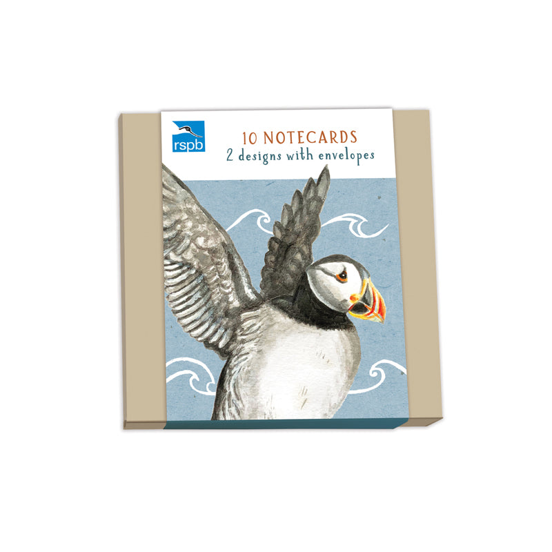 RSPB - In The Wild Stationery - (10 Cards) Square Notecard Pack - Wate ...