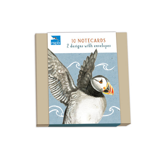 RSPB - In The Wild Stationery - (10 Cards) Square Notecard Pack - Water Birds
