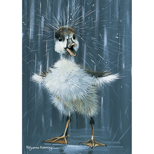 Mini Notecard Pack (6 Cards) - Splash Duckling