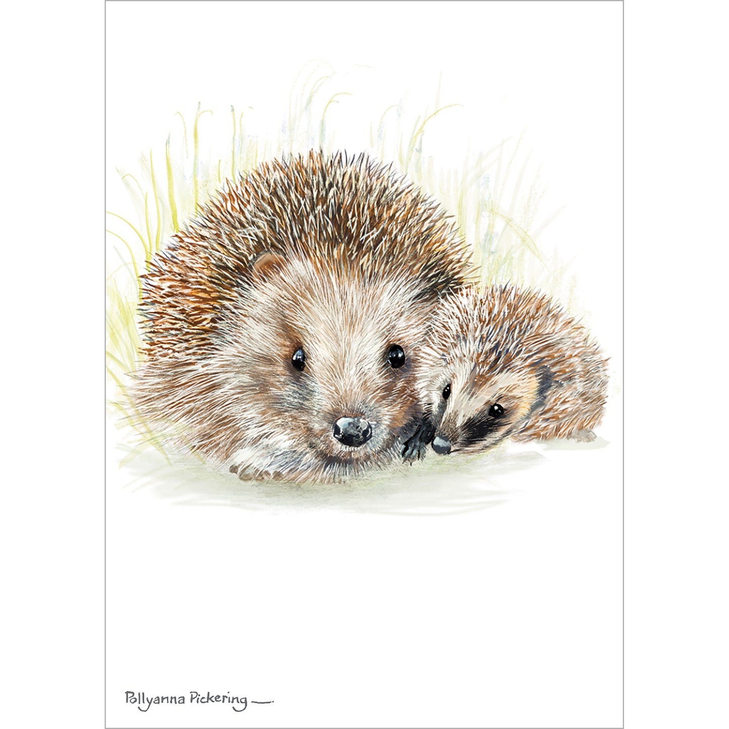 Mini Notecard Pack (6 Cards) - Hedgehog Pair