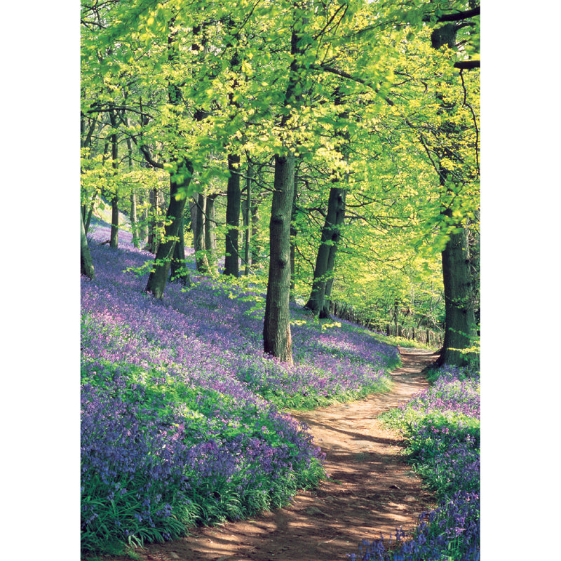 Mini Notecard Pack (6 Cards) - Bluebell Wood