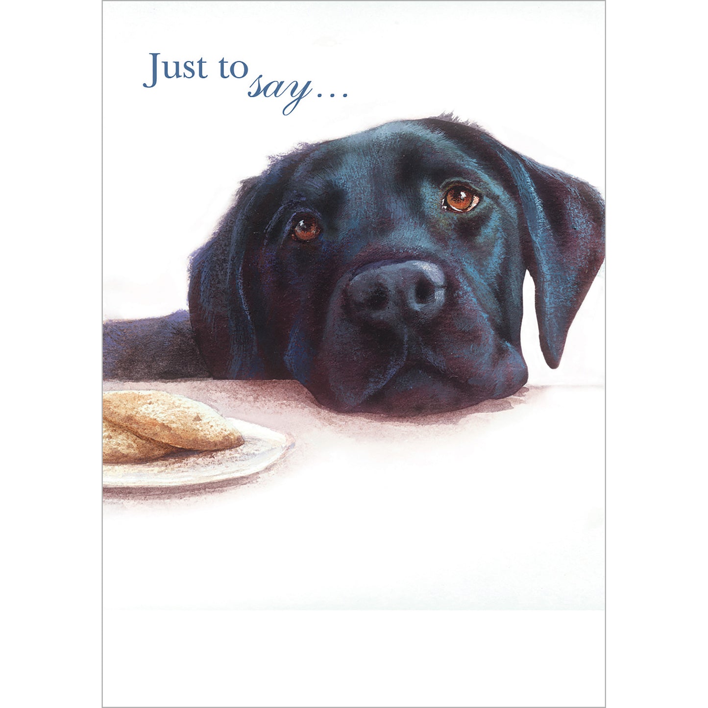 Mini Notecard Pack (6 Cards) - Black Labrador