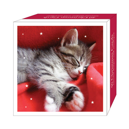 Assorted Christmas Cards - Cosy Kittens